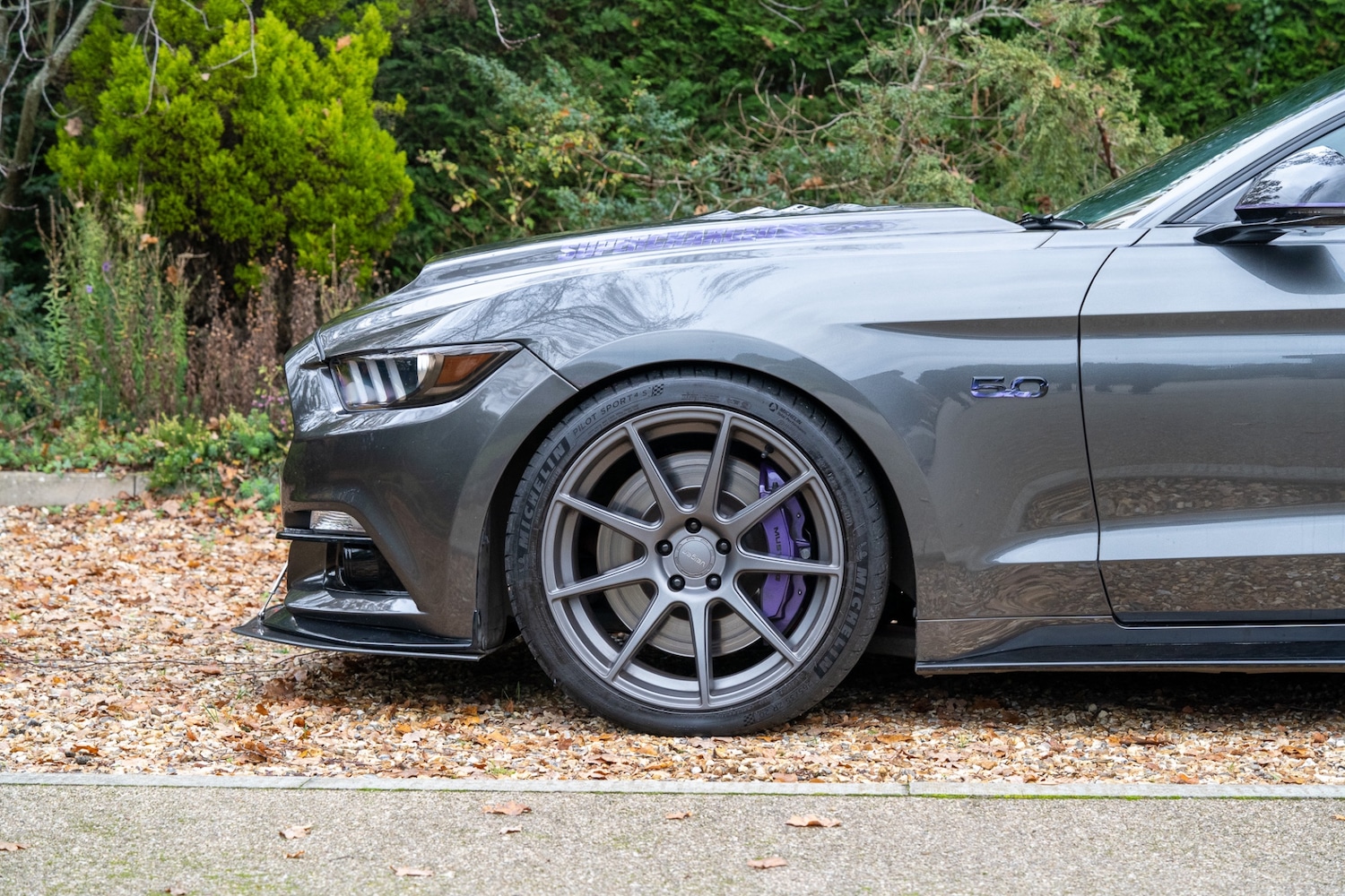 Used Ford Mustang 2016 for sale - 77448154: Photo 19