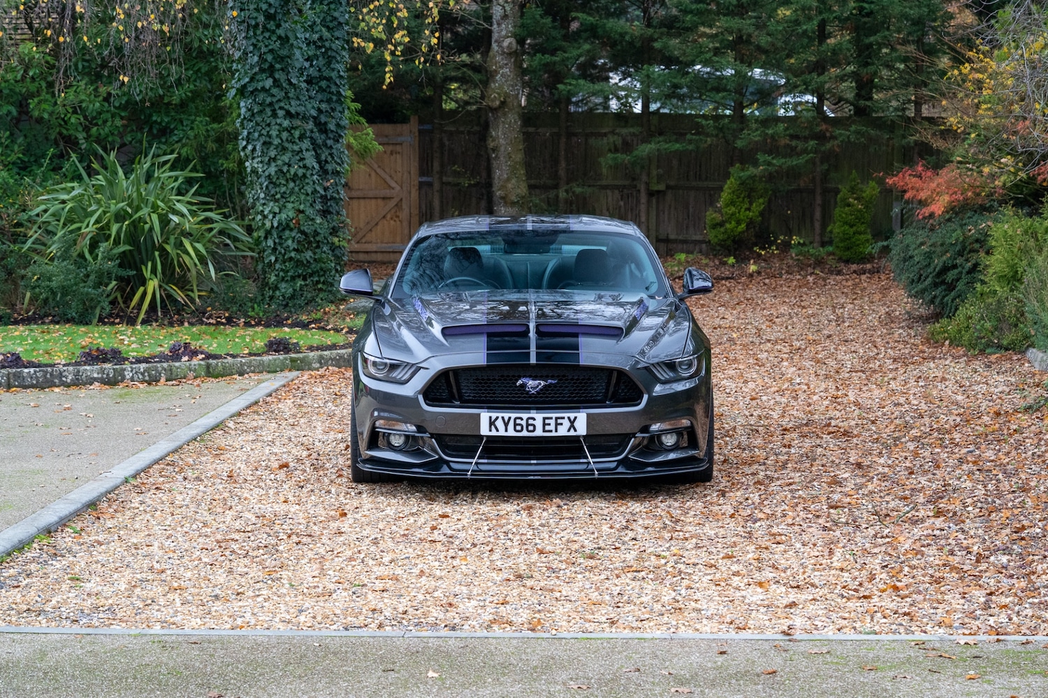 Used Ford Mustang 2016 for sale - 77448154: Photo 2