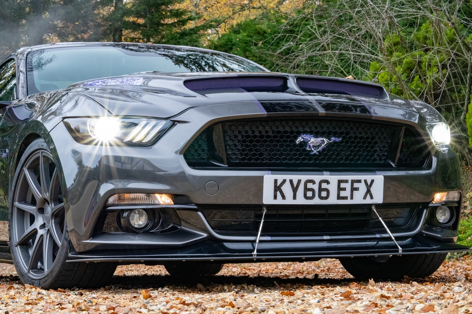 Used Ford Mustang 2016 for sale - 77448154: Photo 20