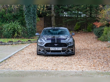 Used Ford Mustang 2016 for sale - 77448154: Photo