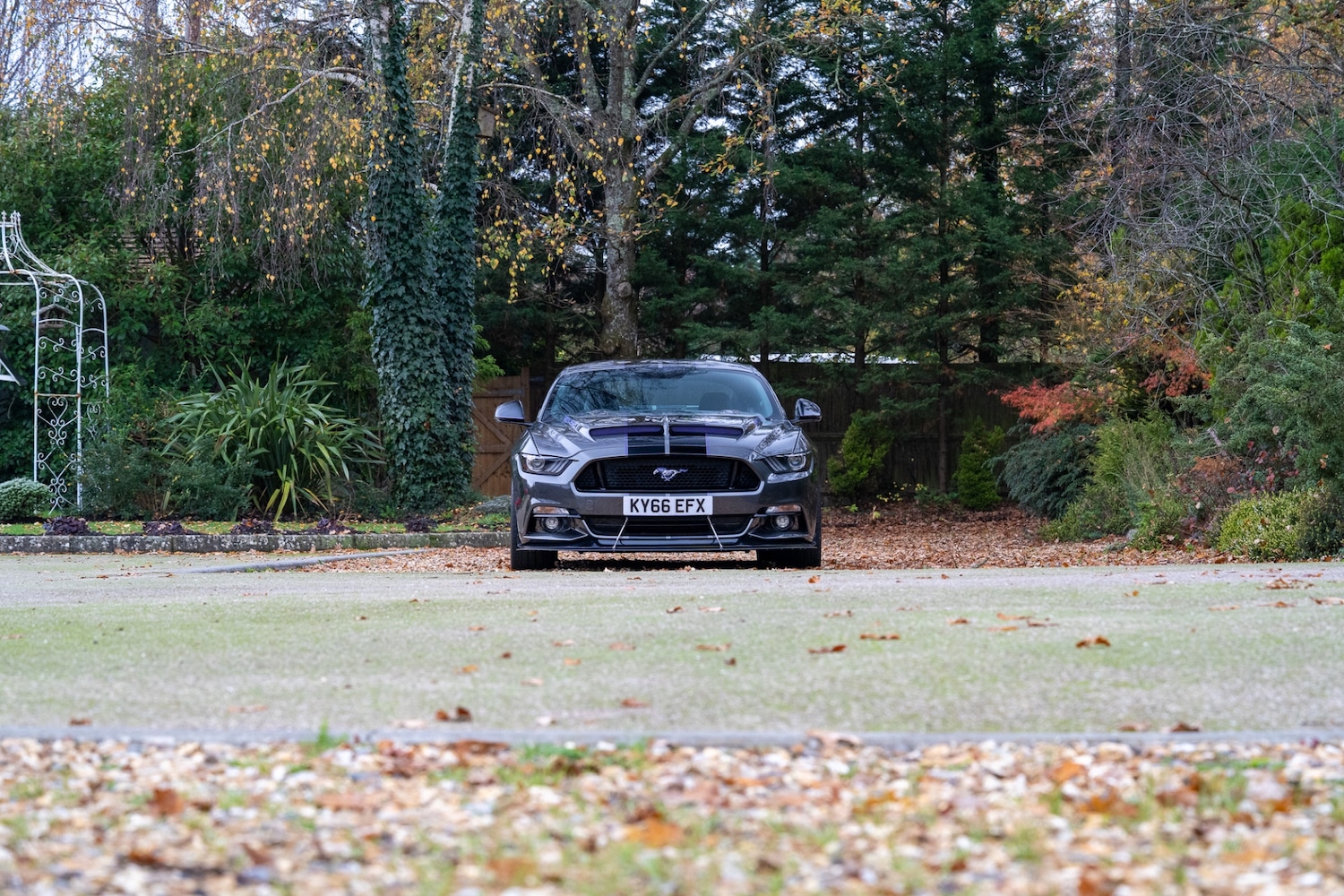 Used Ford Mustang 2016 for sale - 77448154: Photo 32