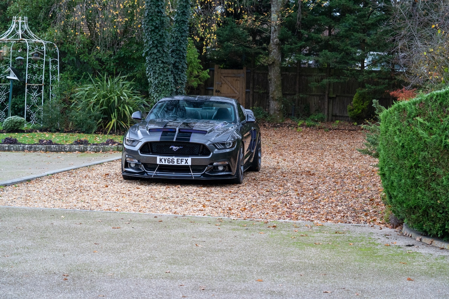 Used Ford Mustang 2016 for sale - 77448154: Photo 33
