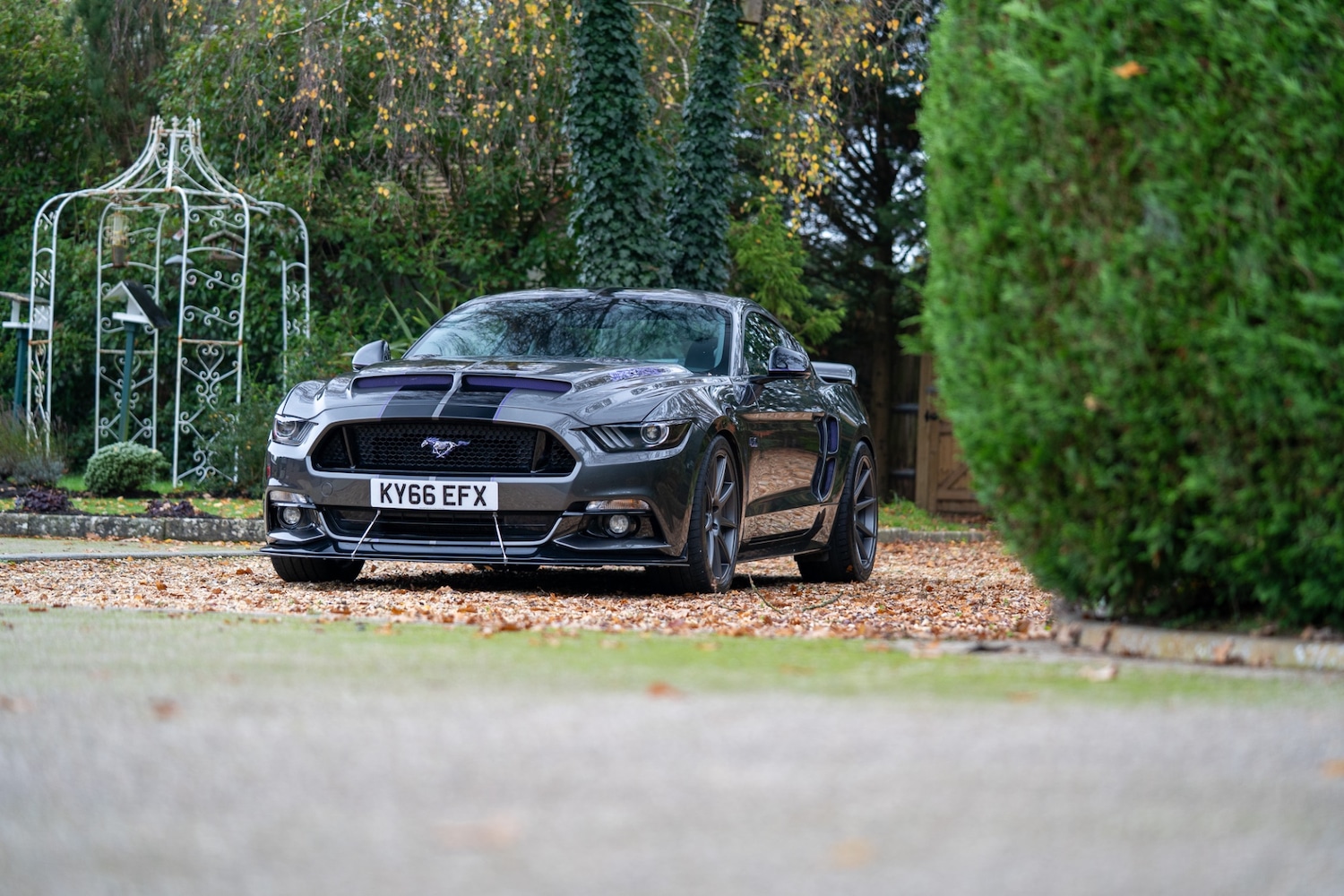 Used Ford Mustang 2016 for sale - 77448154: Photo 34