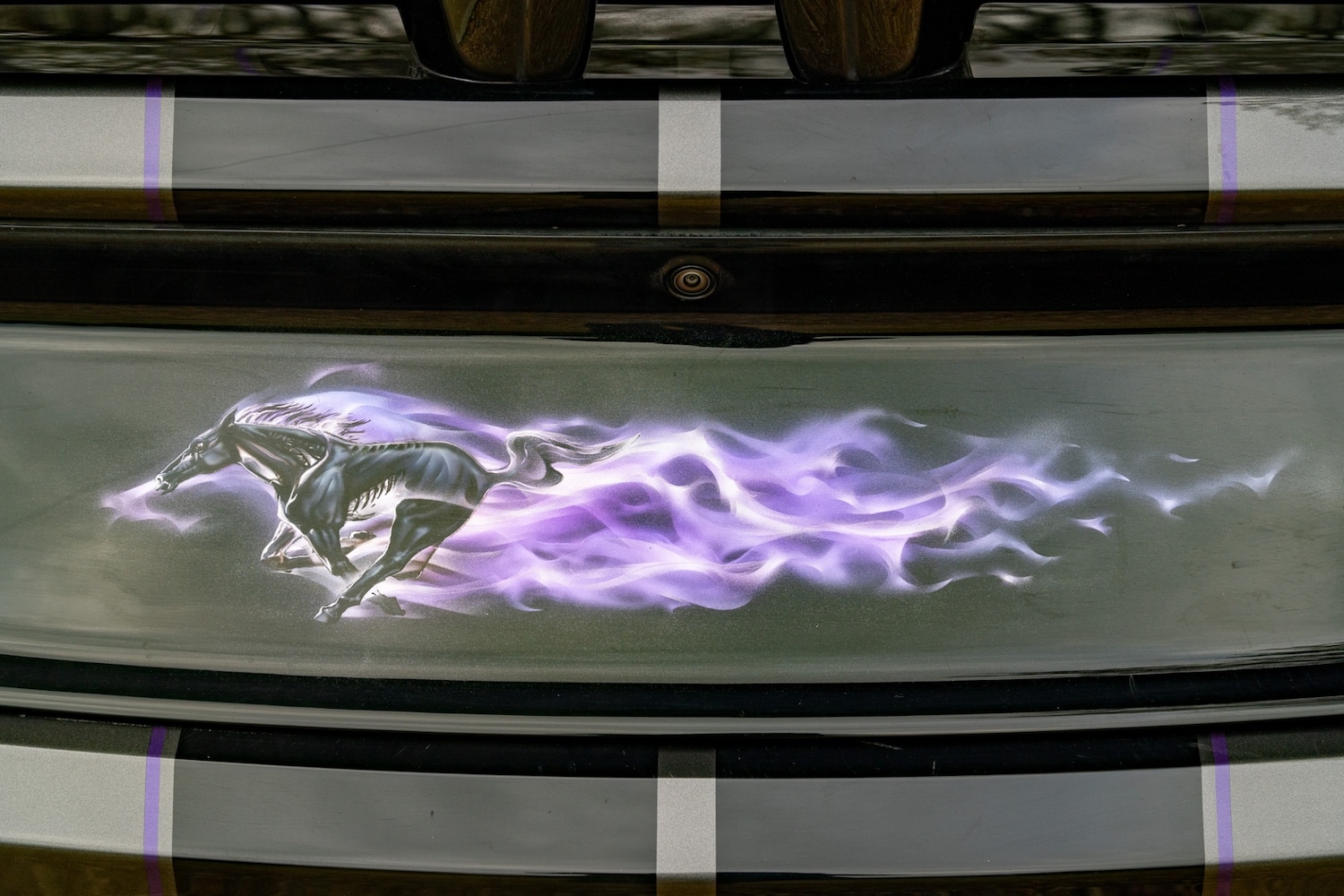 Used Ford Mustang 2016 for sale - 77448154: Photo 39