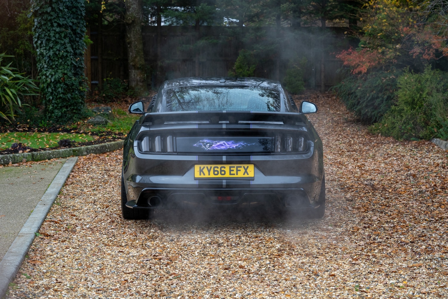 Used Ford Mustang 2016 for sale - 77448154: Photo 4