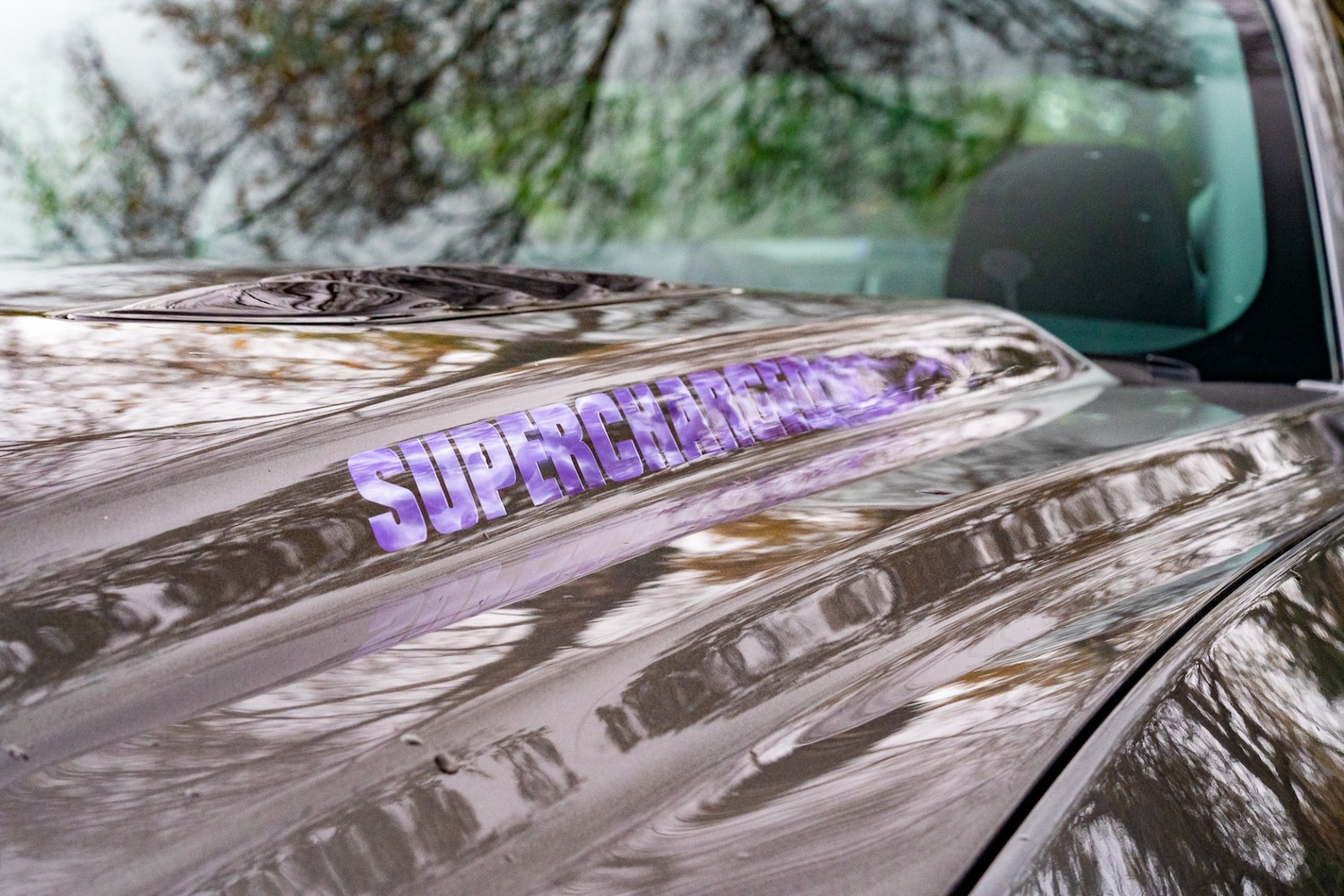 Used Ford Mustang 2016 for sale - 77448154: Photo 44