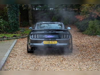 Used Ford Mustang 2016 for sale - 77448154: Photo