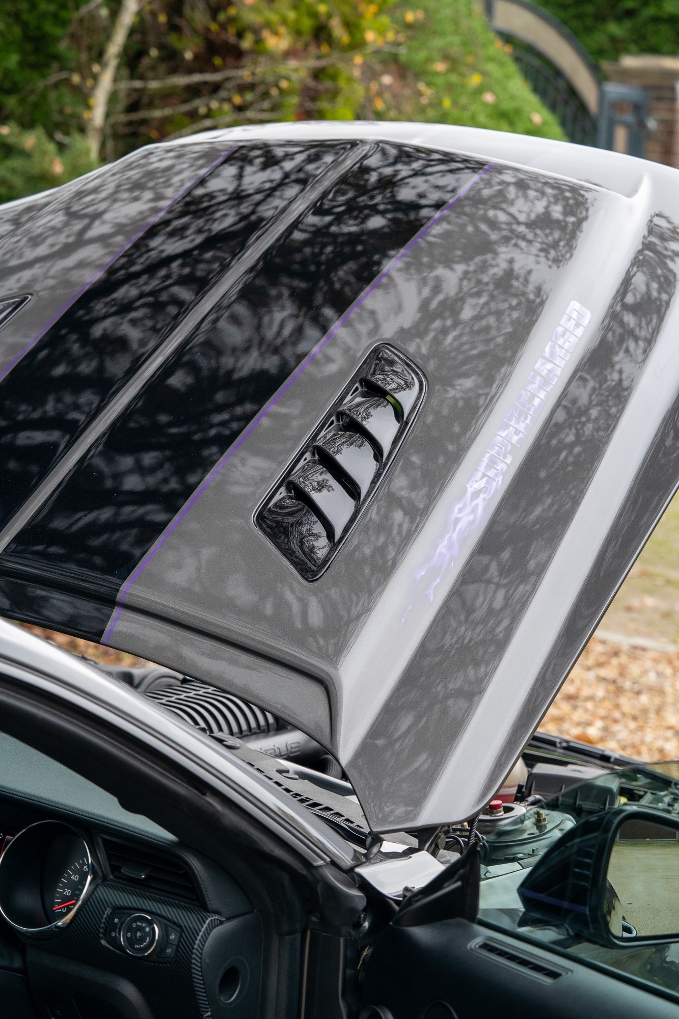 Used Ford Mustang 2016 for sale - 77448154: Photo 69