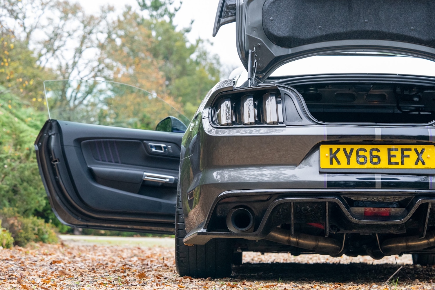 Used Ford Mustang 2016 for sale - 77448154: Photo 71