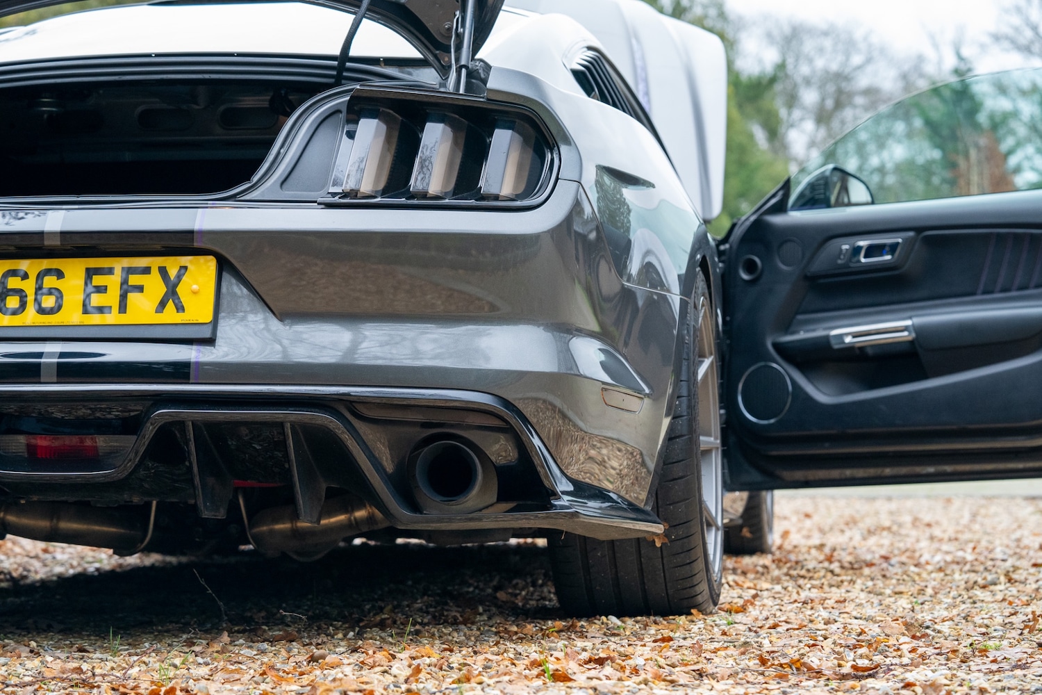 Used Ford Mustang 2016 for sale - 77448154: Photo 72