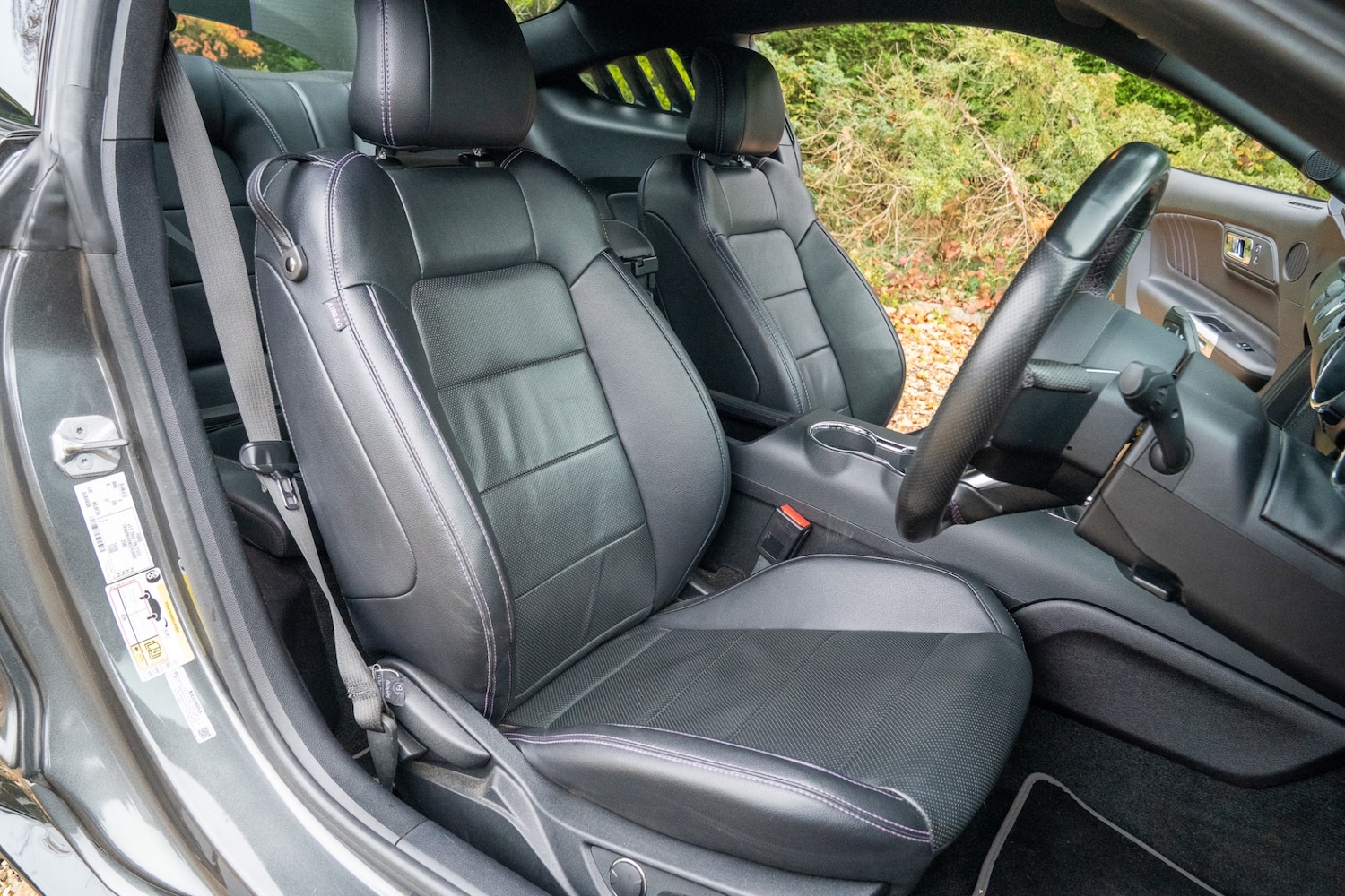 Used Ford Mustang 2016 for sale - 77448154: Photo 75