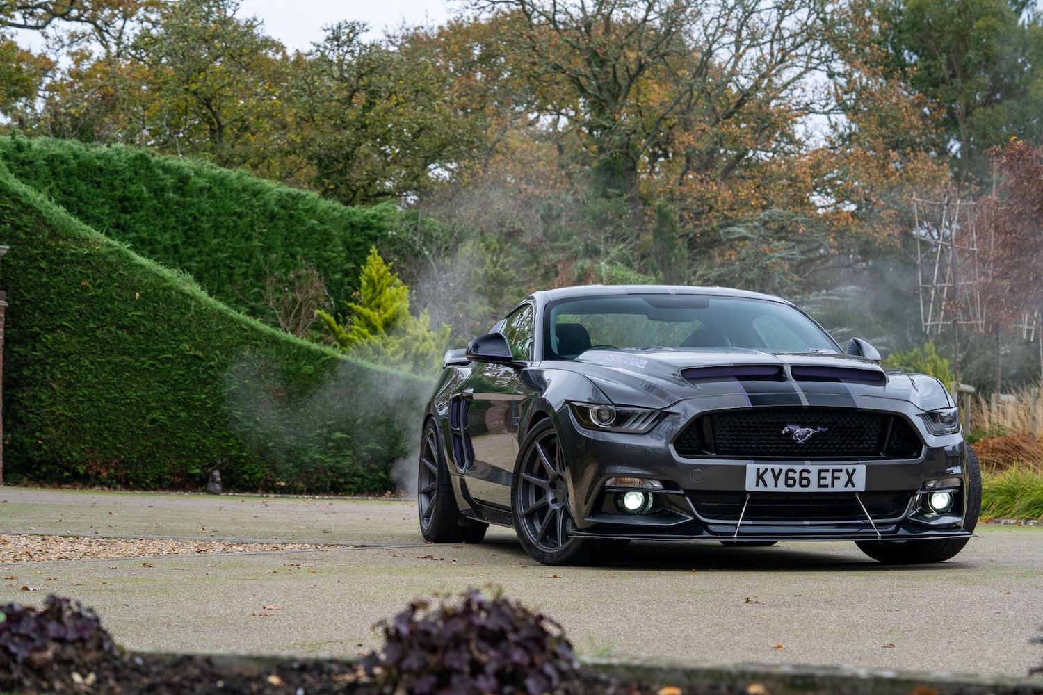 Used Ford Mustang 2016 for sale - 77448154: Photo 94