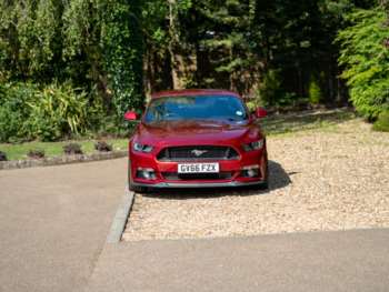 Used Ford Mustang 2016 for sale - 74834340: Photo