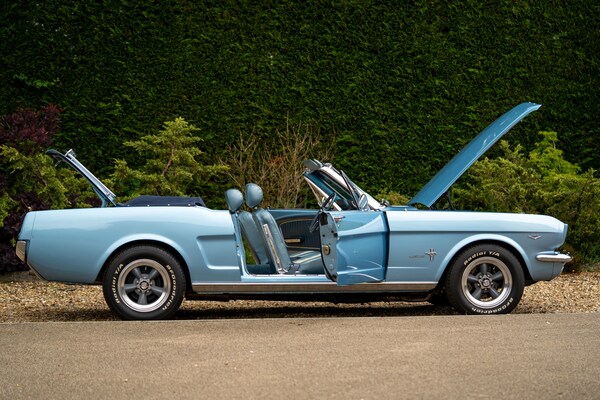 Used Ford Mustang 1965 for sale - 72380220: Photo 11