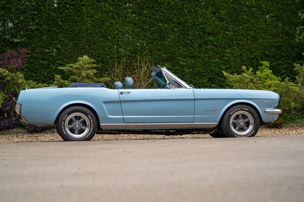Used Ford Mustang 1965 for sale - 72380220: Photo 12