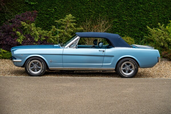 Used Ford Mustang 1965 for sale - 72380220: Photo 13