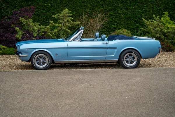 Used Ford Mustang 1965 for sale - 72380220: Photo 17