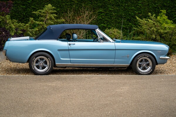 Used Ford Mustang 1965 for sale - 72380220: Photo 19