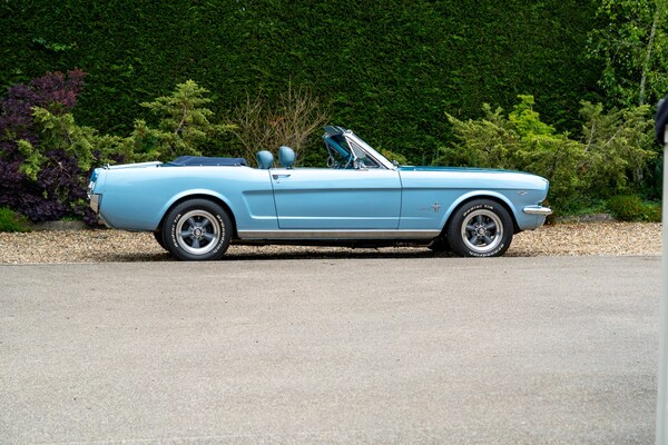 Used Ford Mustang 1965 for sale - 72380220: Photo 42