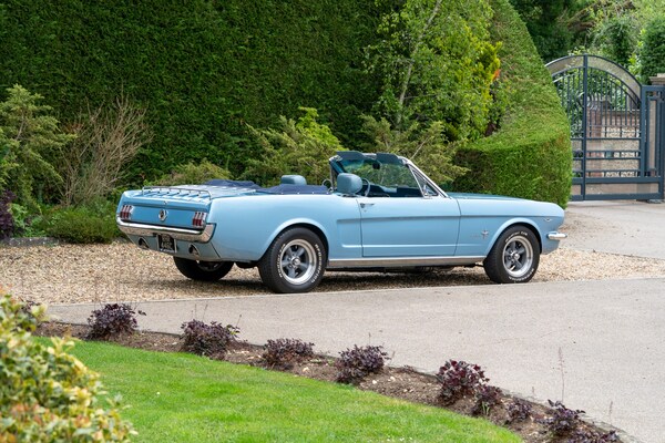 Used Ford Mustang 1965 for sale - 72380220: Photo 43