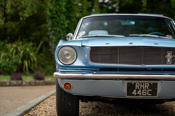 Used Ford Mustang 1965 for sale - 72380220: Photo 4