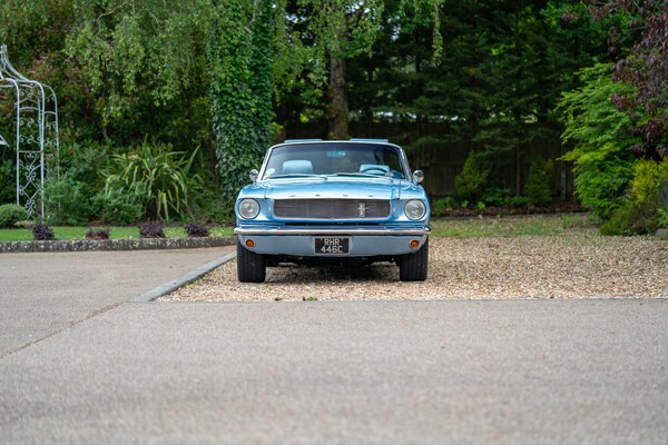 Used Ford Mustang 1965 for sale - 72380220: Photo 5