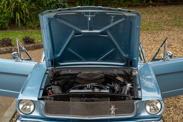 Used Ford Mustang 1965 for sale - 72380220: Photo 75