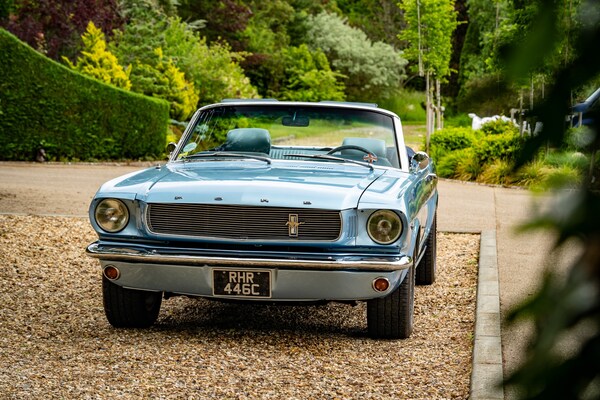 Used Ford Mustang 1965 for sale - 72380220: Photo 87