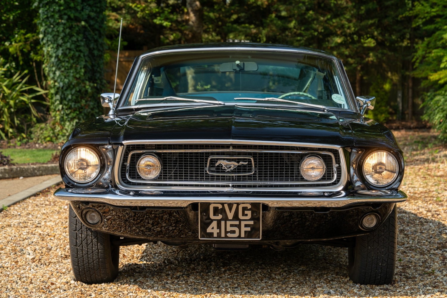 Used Ford Mustang 2022 for sale - 76288677: Photo 12