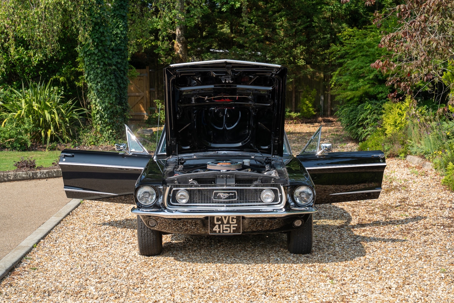 Used Ford Mustang 2022 for sale - 76288677: Photo 15