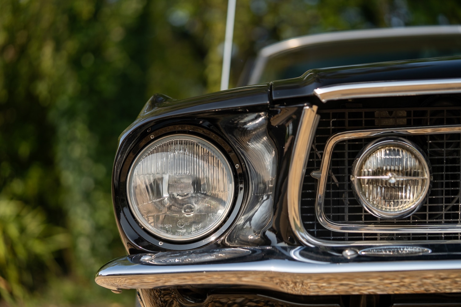 Used Ford Mustang 2022 for sale - 76288677: Photo 22