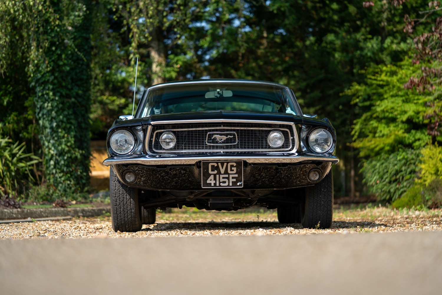 Used Ford Mustang 2022 for sale - 76288677: Photo 3