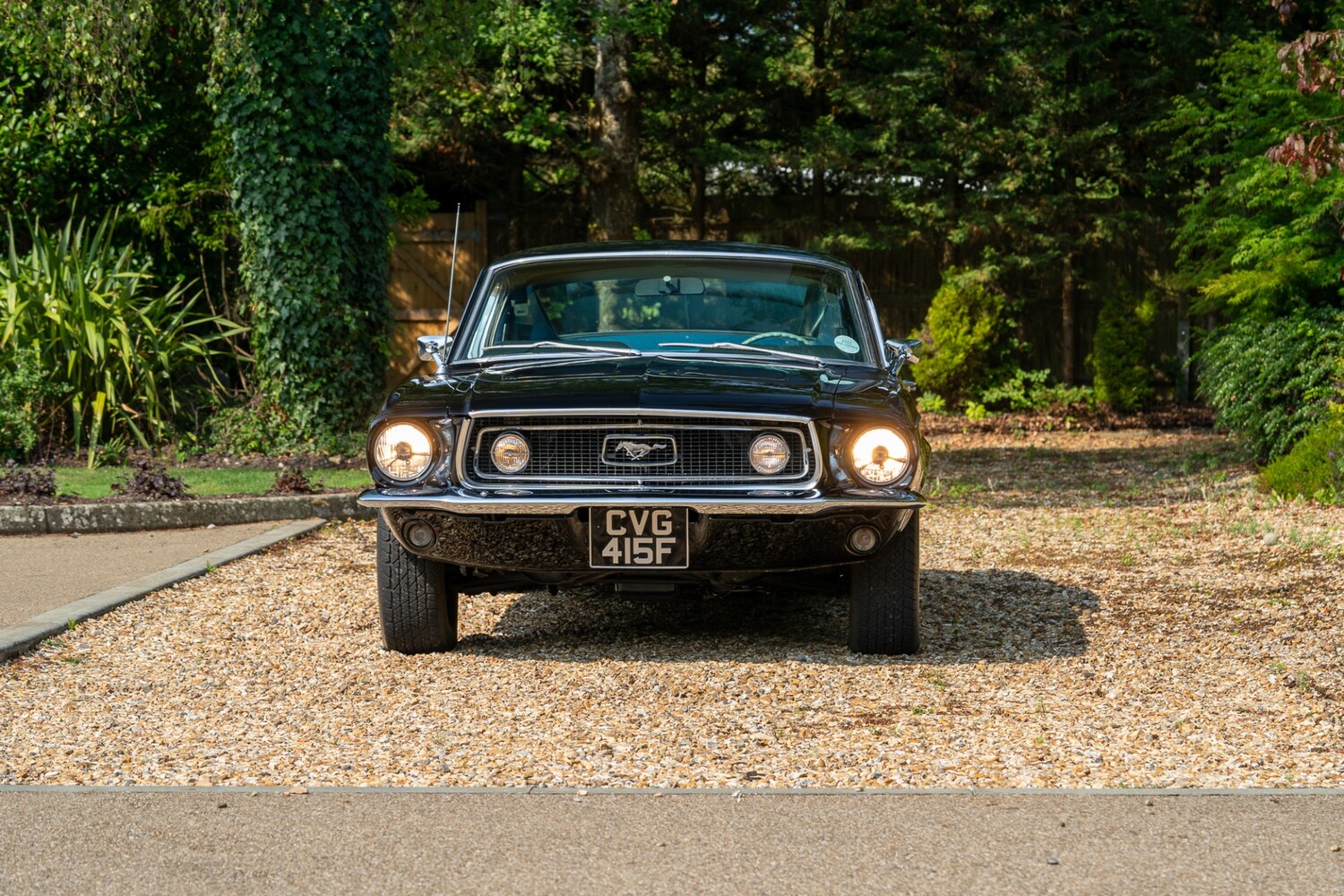 Used Ford Mustang 2022 for sale - 76288677: Photo 35