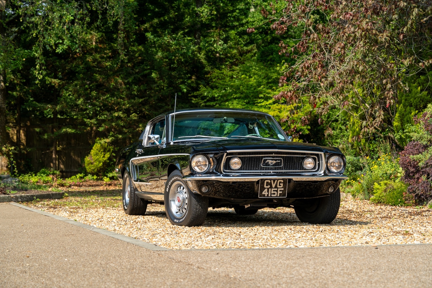 Used Ford Mustang 2022 for sale - 76288677: Photo 40