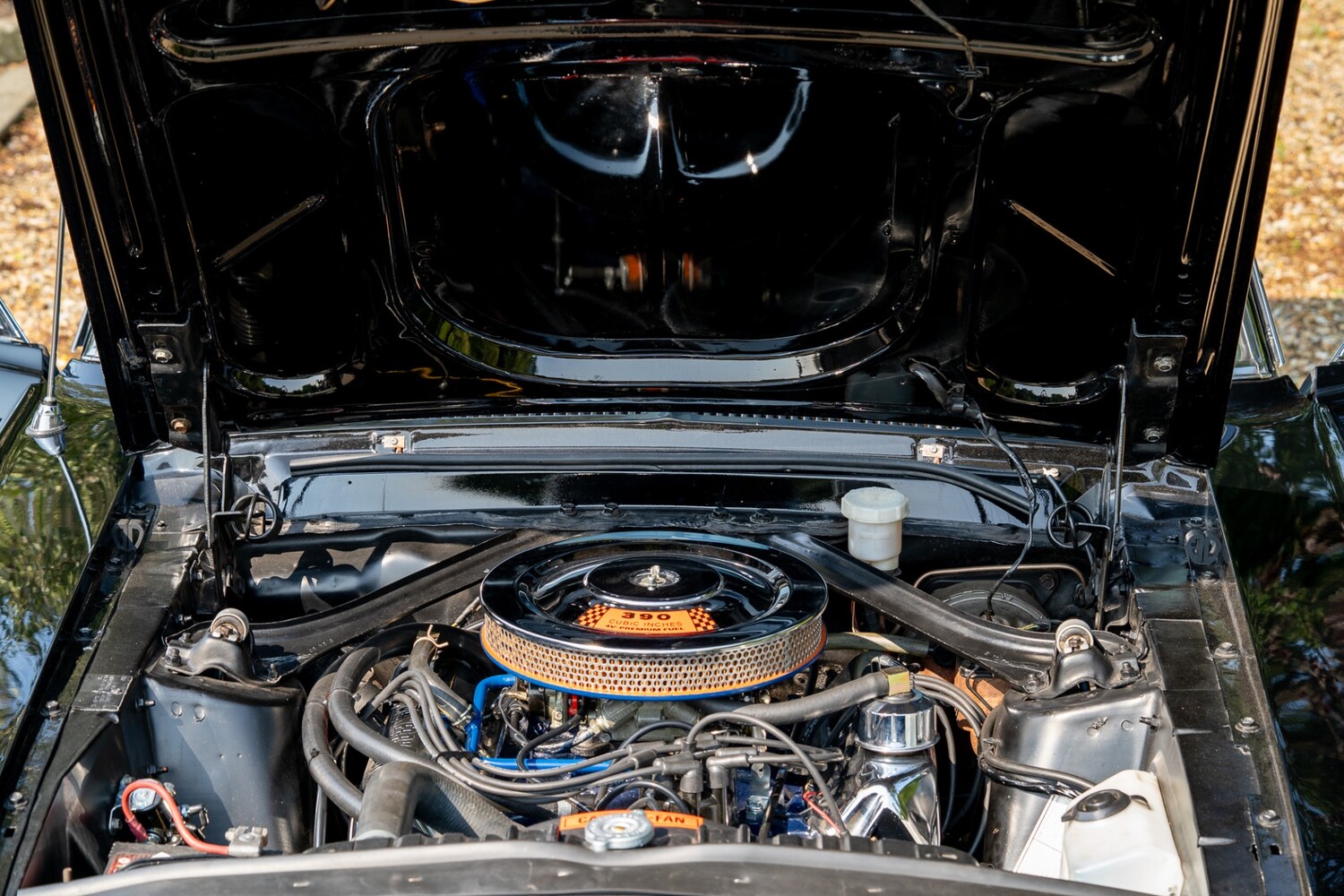 Used Ford Mustang 2022 for sale - 76288677: Photo 77