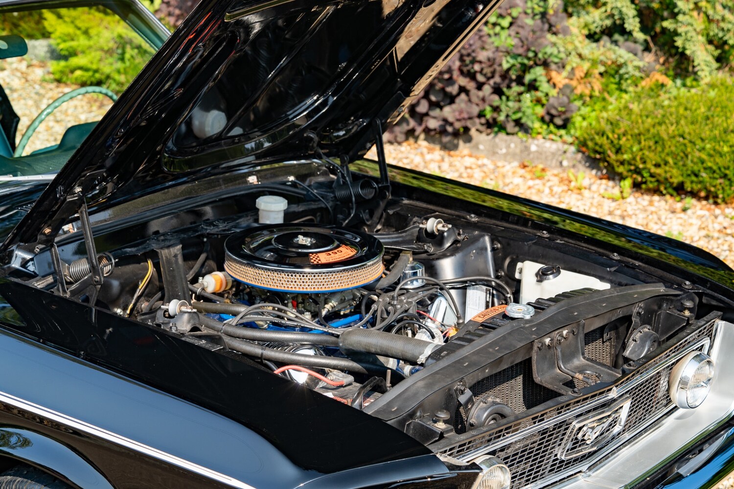 Used Ford Mustang 2022 for sale - 76288677: Photo 78