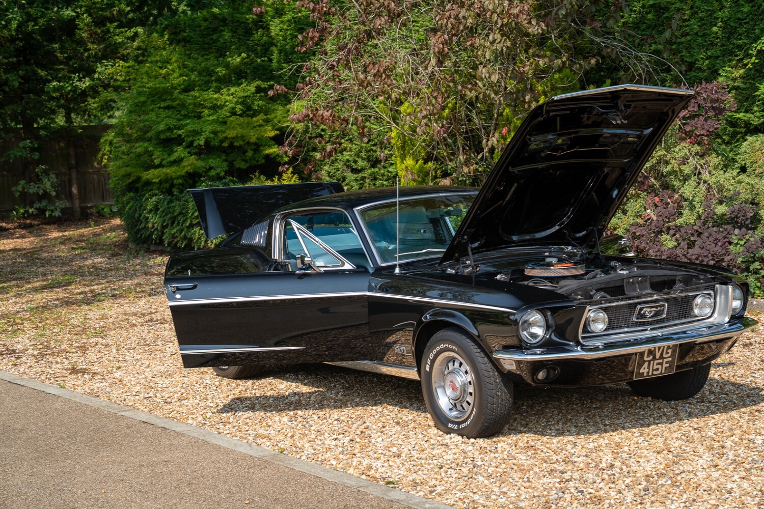 Used Ford Mustang 2022 for sale - 76288677: Photo 87