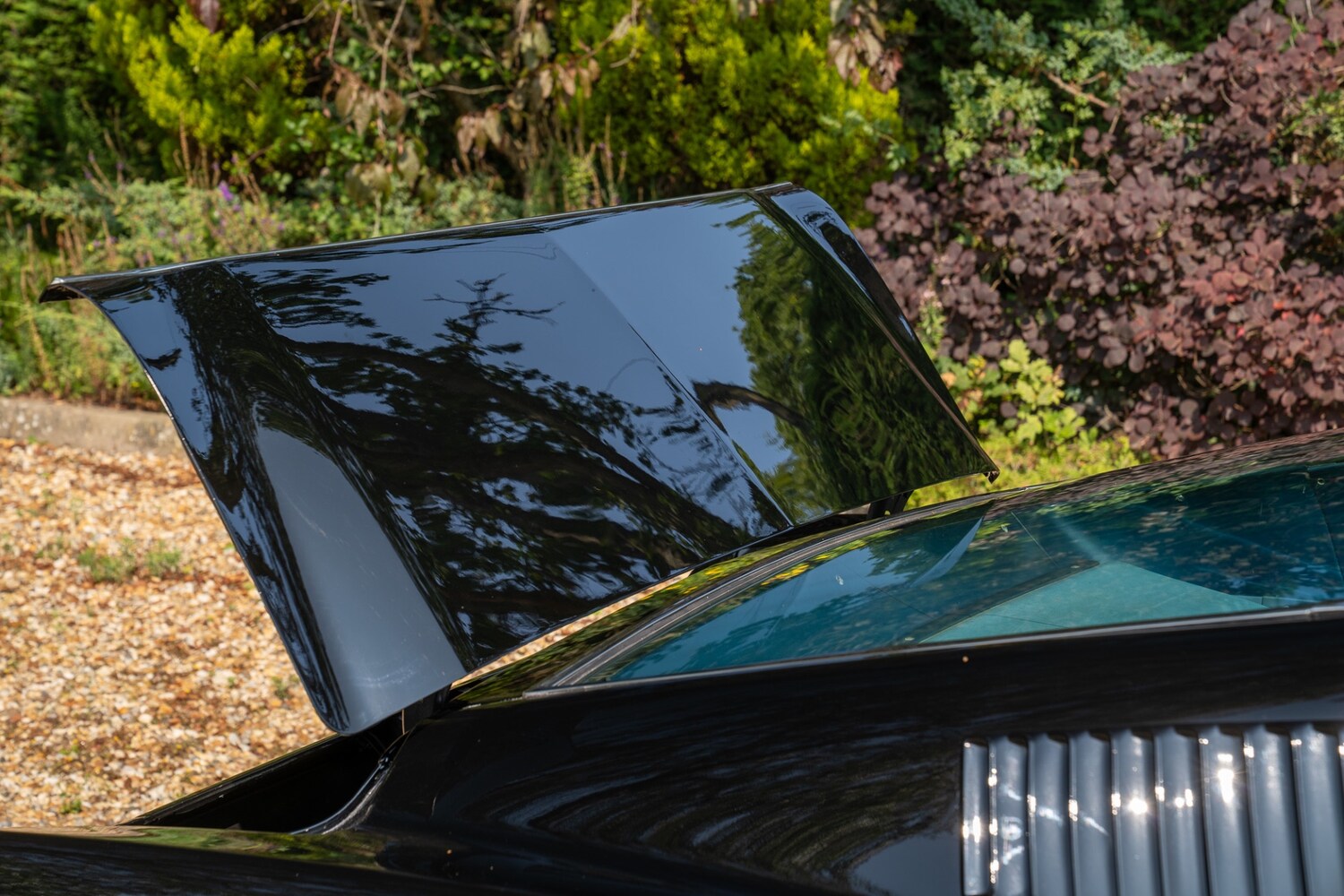 Used Ford Mustang 2022 for sale - 76288677: Photo 88