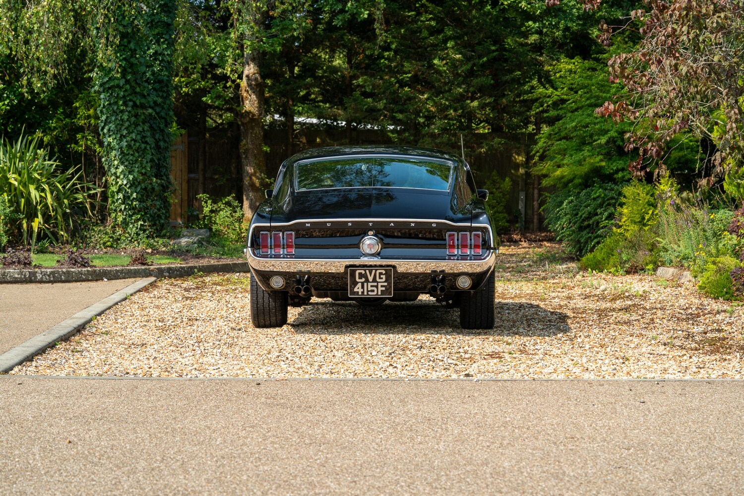 Used Ford Mustang 2022 for sale - 76288677: Photo 97