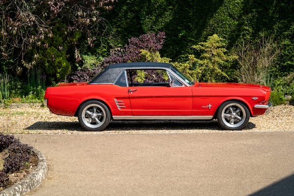Used Ford Mustang 1966 for sale - 72705391: Photo 10