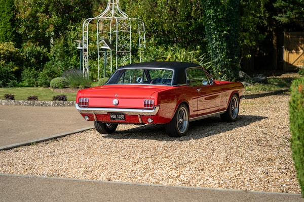 Used Ford Mustang 1966 for sale - 72705391: Photo 11