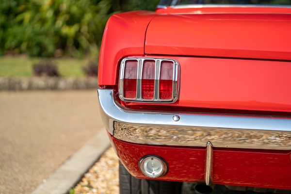 Used Ford Mustang 1966 for sale - 72705391: Photo 14