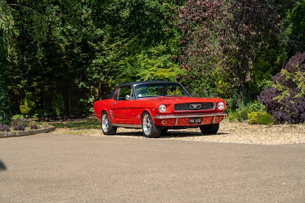 Used Ford Mustang 1966 for sale - 72705391: Photo 2