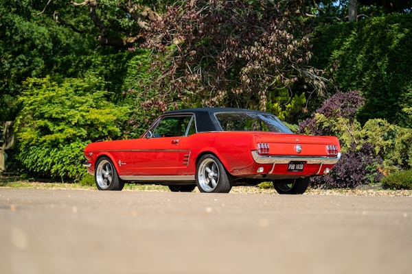 Used Ford Mustang 1966 for sale - 72705391: Photo 3
