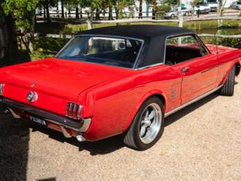 Used Ford Mustang 1966 for sale - 72705391: Photo