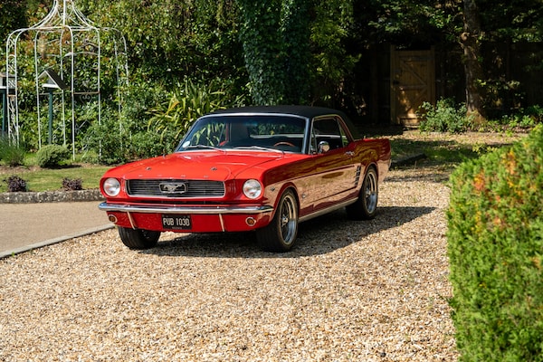 Used Ford Mustang 1966 for sale - 72705391: Photo 46