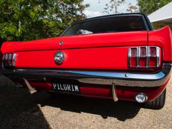 Used Ford Mustang 1966 for sale - 72705391: Photo