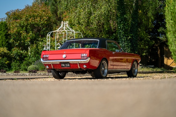 Used Ford Mustang 1966 for sale - 72705391: Photo 5