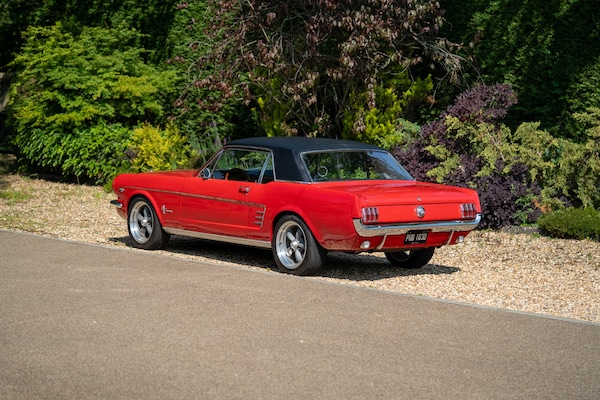 Used Ford Mustang 1966 for sale - 72705391: Photo 7