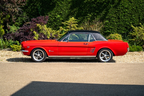 Used Ford Mustang 1966 for sale - 72705391: Photo 8